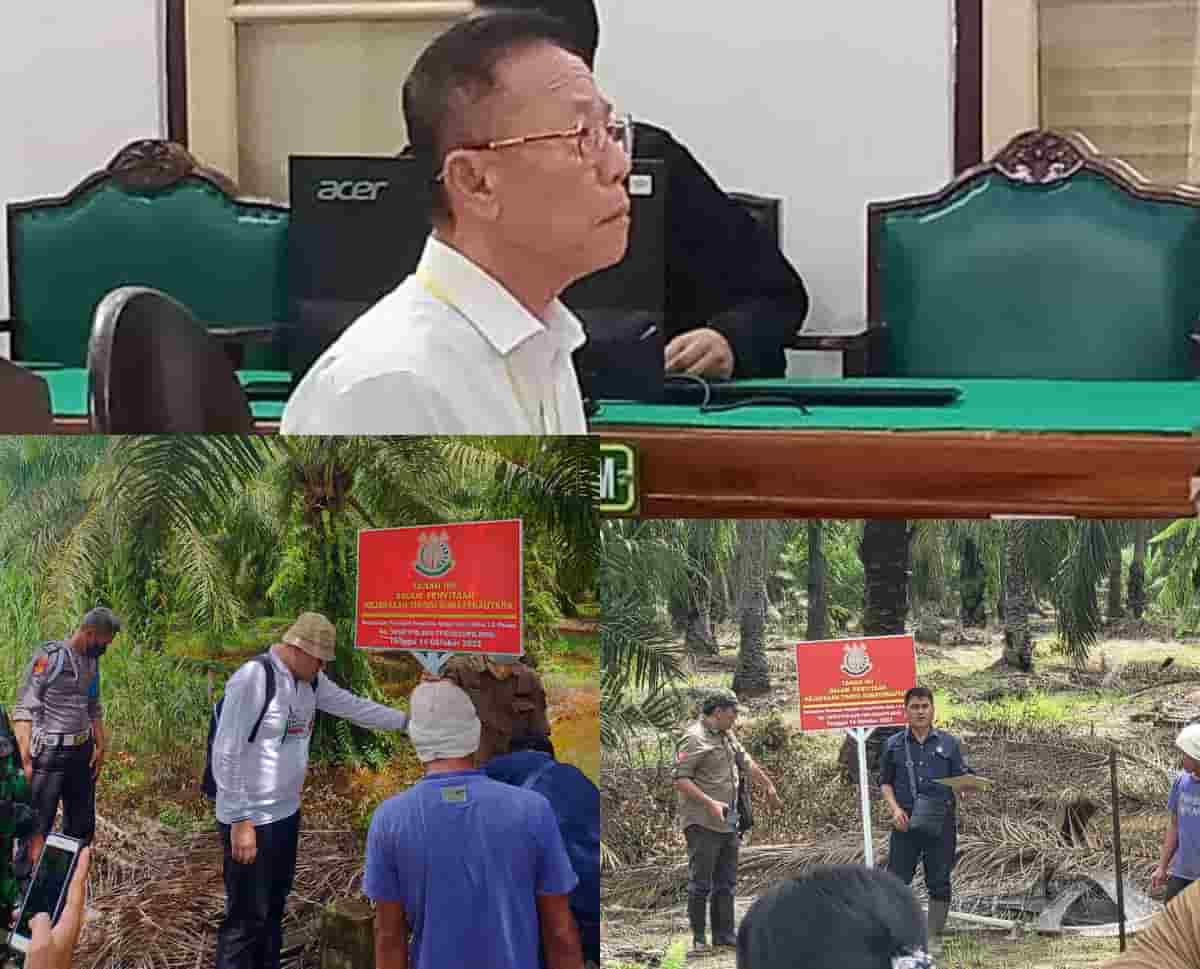 Super Dewa Seorang Akuang: Kebun Sawit Disita, TBS Tetap Dipanen; Divonis 10 Tahun Tapi Tak Dipenjara