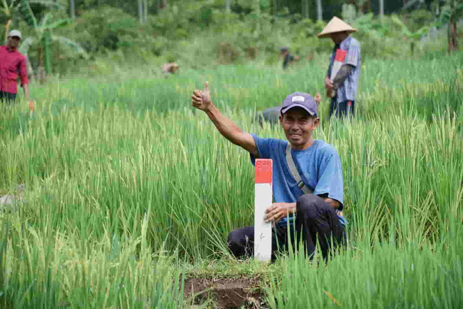 ATR/BPN Imbau Masyarakat Jaga Batas Tanah untuk Cegah Sengketa