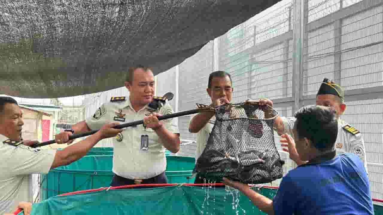 Panen Raya Lele 250 Kg, Lapas Kelas I Medan Optimalkan Program Ketahanan Pangan dan Pembinaan Kemandirian