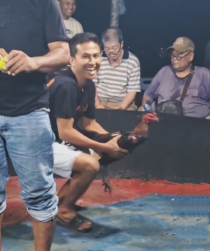 Dugaan Aktivitas Sabung Ayam di Kutalimbaru Kembali Disorot, Warga Minta Aparat Bertindak Tegas