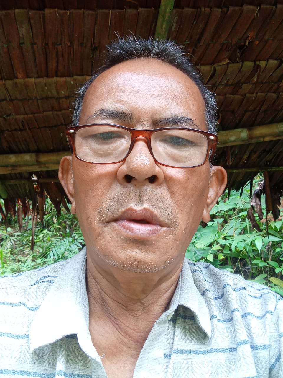 Pelaku Pengerusakan 80 Tanaman Pisang Ditangkap, Pria Tua Berterima Kasih kepada Polsek Medan Tembung