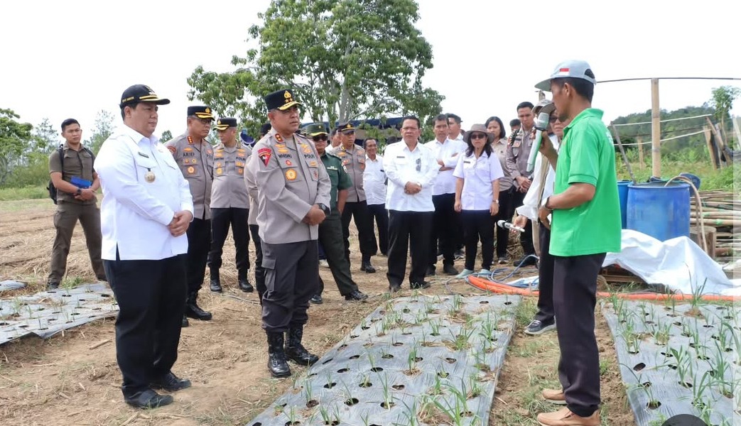 Kapoldasu Monitoring Produksi Bawang Putih di Samosir